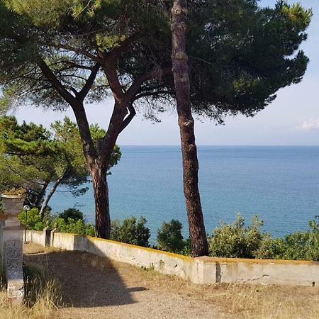 דירות San Giovanni  Agriturismo Marroni Anna ** מראה חיצוני תמונה